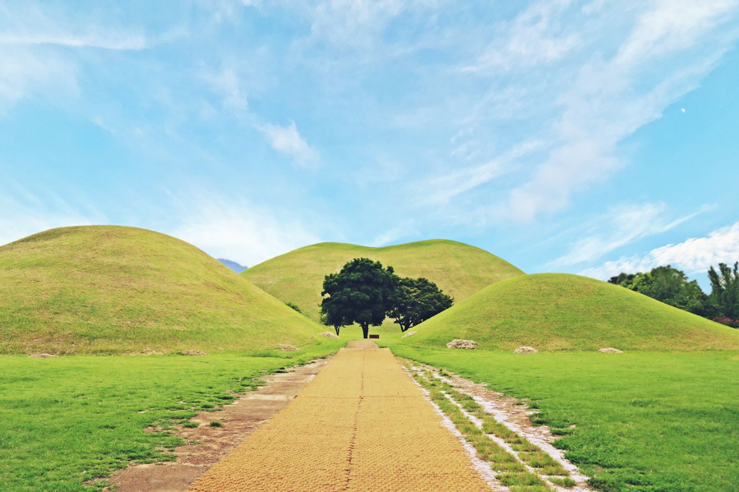 Gyeongju UNESCO World Heritage One Day Tour from Busan - Photo 1 of 10